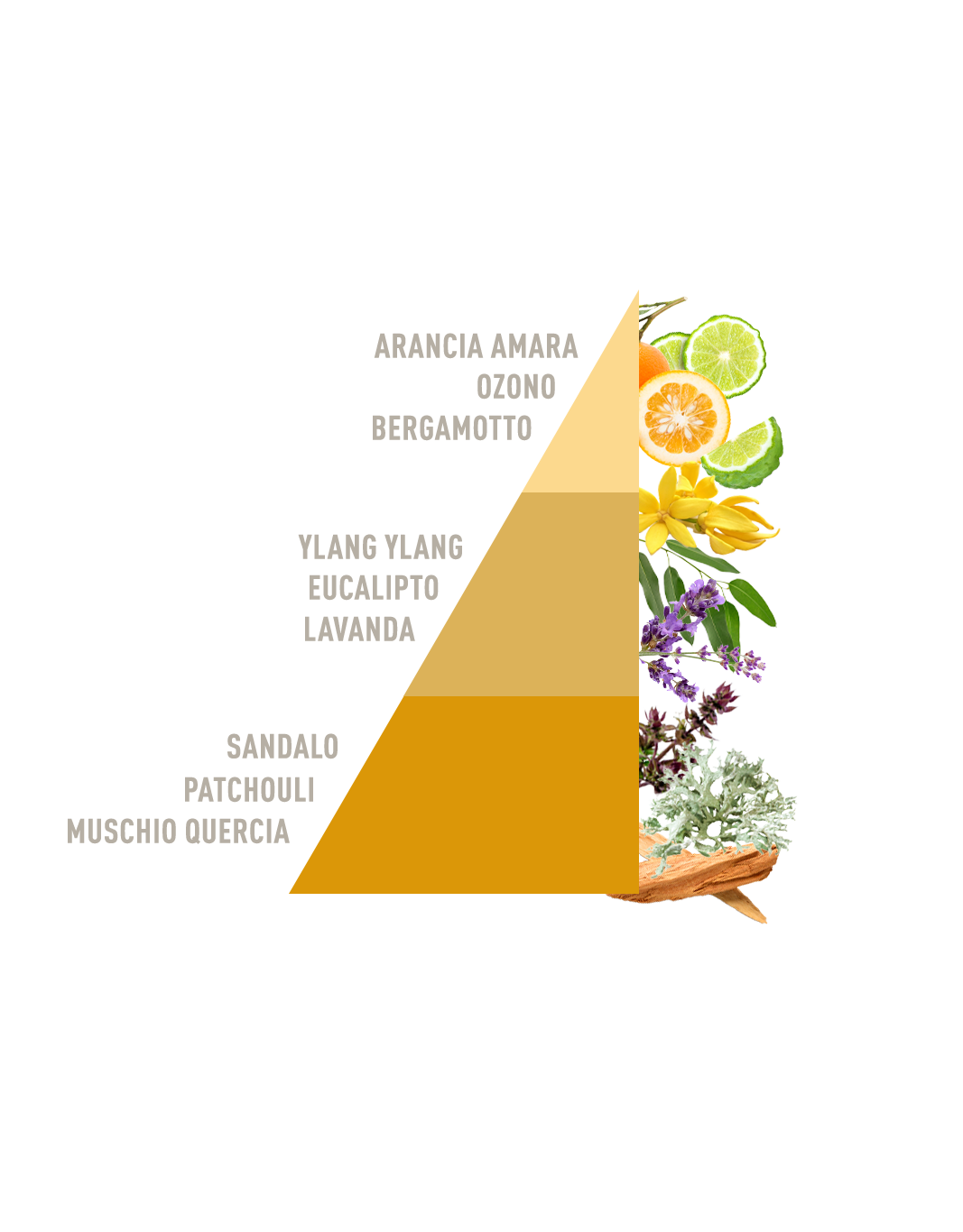 Laudry Perfume Green Sandalo e ylan ylang bio 100ml